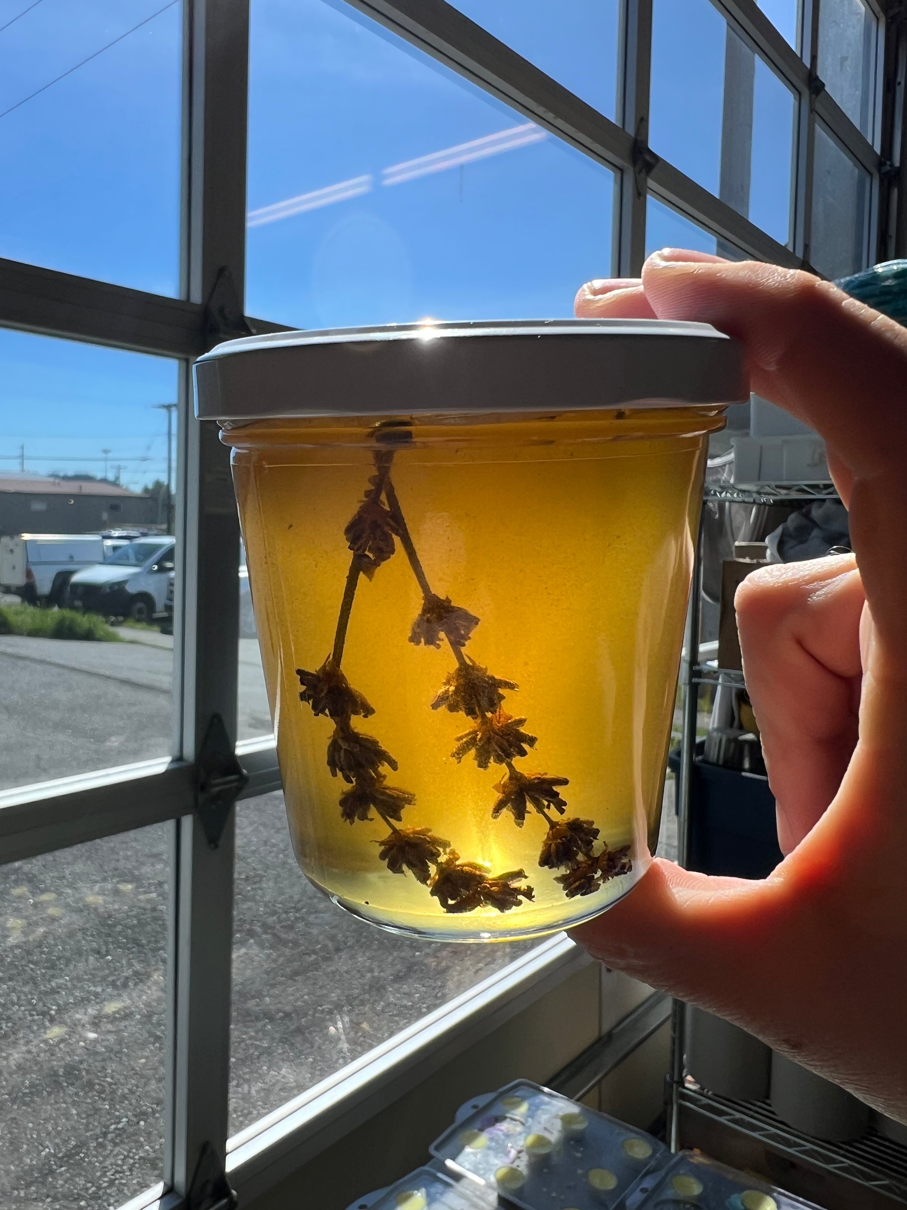 Lavender and Lavender infused honey