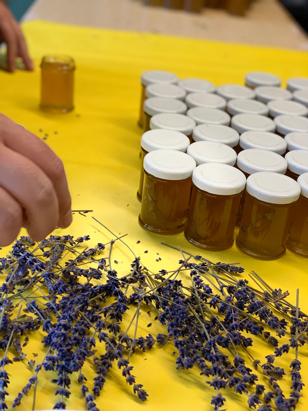 Lavender and Lavender infused honey