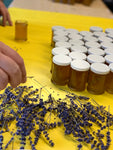 Lavender and Lavender infused honey